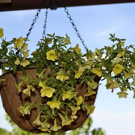 Garden House فندق مبيت وإفطار