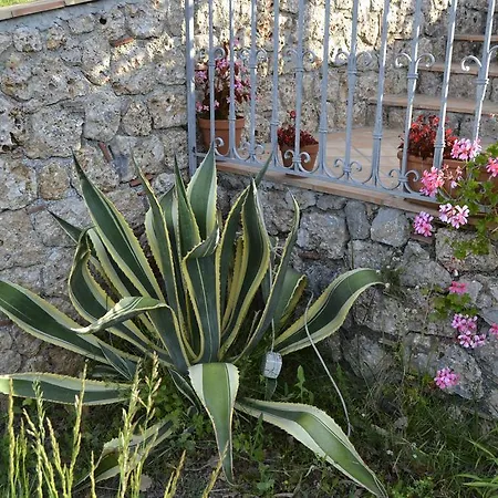 Bed & Breakfast Garden House 3*
