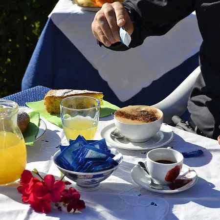 Bed & Breakfast Garden House 3*