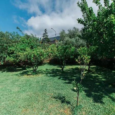 Garden House فندق مبيت وإفطار ماراتييا
