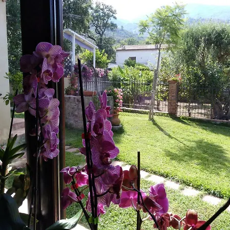 Bed & Breakfast Garden House 3*